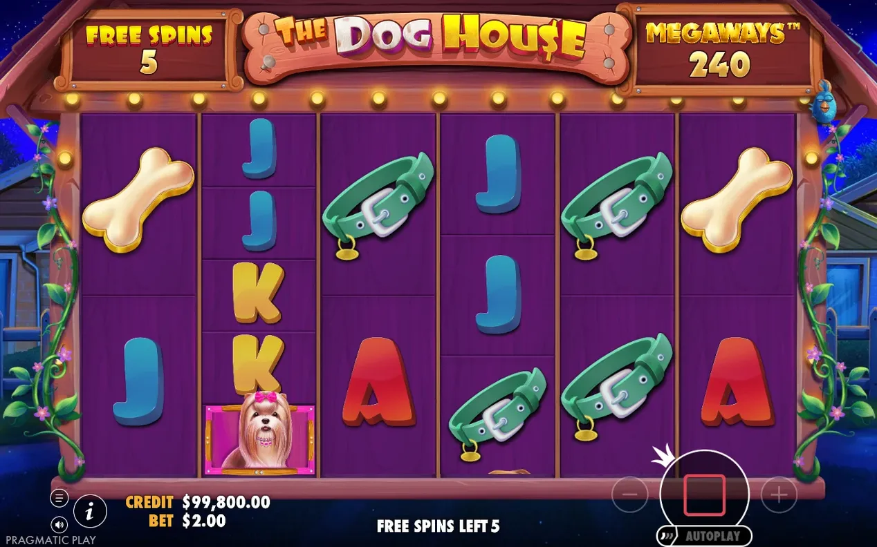 Free spins med lila hjul, Free Spins 5 kvar, Megaways 240, collar-, bone- och bokstavssymboler synliga.